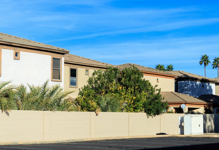 Long tan block wall in front of two-story stucco homes, with palms and a citrus tree behind it