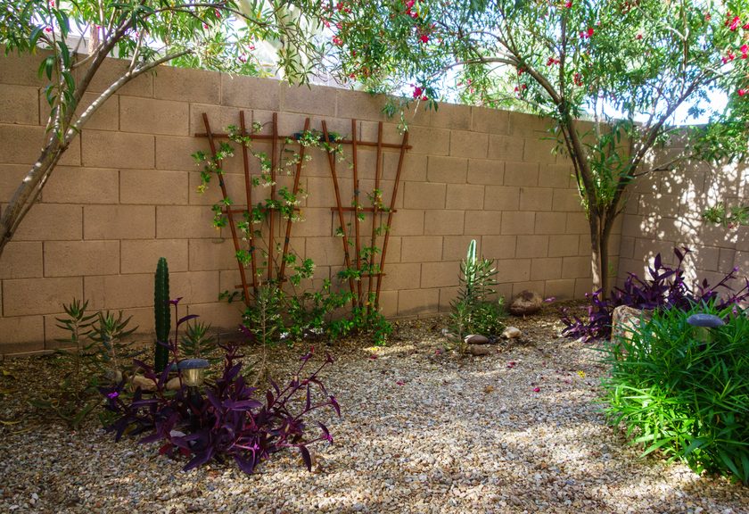 Tan block wall behind a gravel garden with wooden trellises, cactus and purple-leaved plants